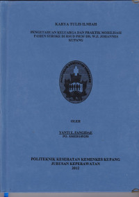 Image of Pengetahuan keluarga dan praktik mobilisasi pasien stroke di RSUD. Prof. Dr. W.Z. Johannes Kupang