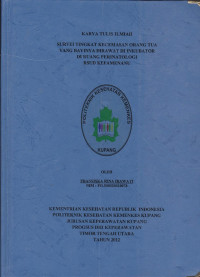 Image of Survei tingkat kecemasan orang tua yang bayinya dirawat di inkubator di ruang perinatologi RSUD. Kefamenanu