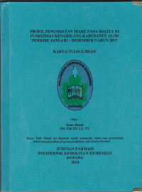 Image of Profil pengobatan diare paa balita di Puskesmas Kenarilang Kabupaten Alor periode Januari - Desember 2013