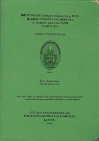Image of Identifikasi cemaran salmonella sp. pada daging se'i babi yang beredar di Oebufu kota Kupang tahun 2014