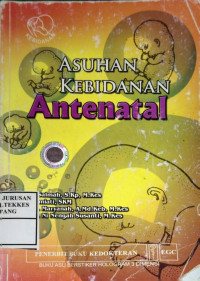 Image of Asuhan Kebidanan Antenatal