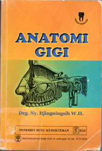 Image of Anatomi gigi