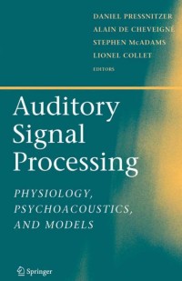 Image of Auditory Signal Processing