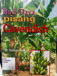 Image of budidaya pisang Cavendish
