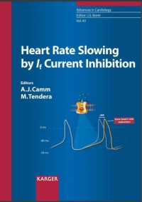 Image of Heart Rate Slowing by If Current Inhibition