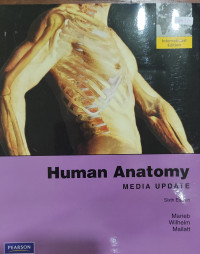 Image of Human Anatomy