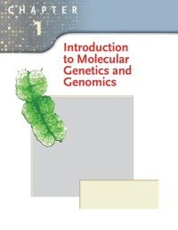 Image of Introduction to Molecular Genetics and Genomics