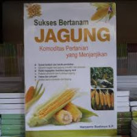 Image of Sukses Bertanam Jagung Komuditas Pertanian yang Menjanjikan