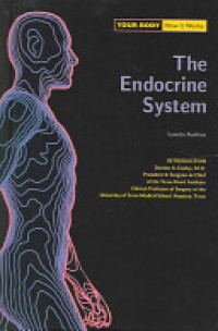 Image of The Endocrine System; Your Body How It Works